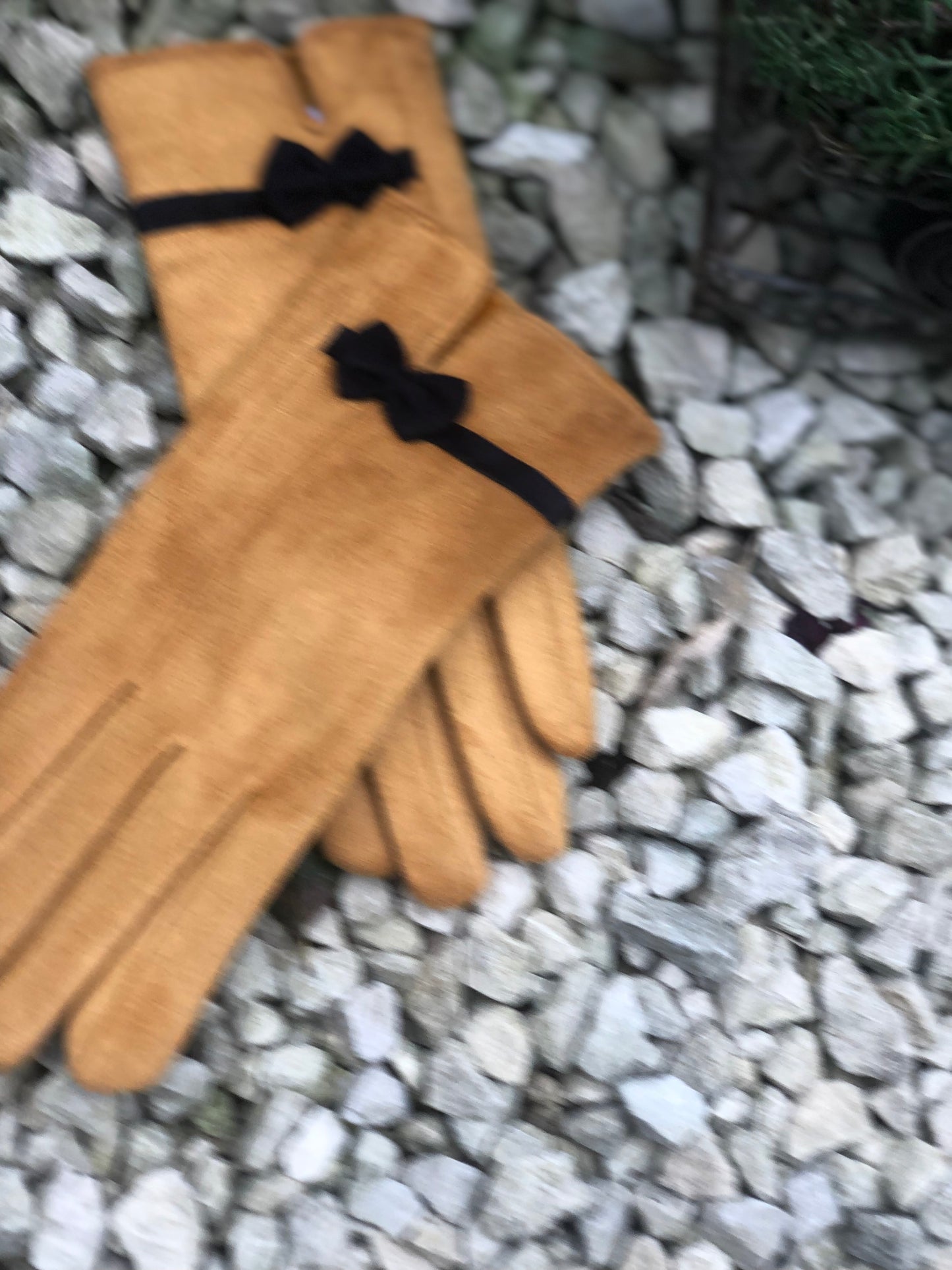 Gloves With Bow Trim