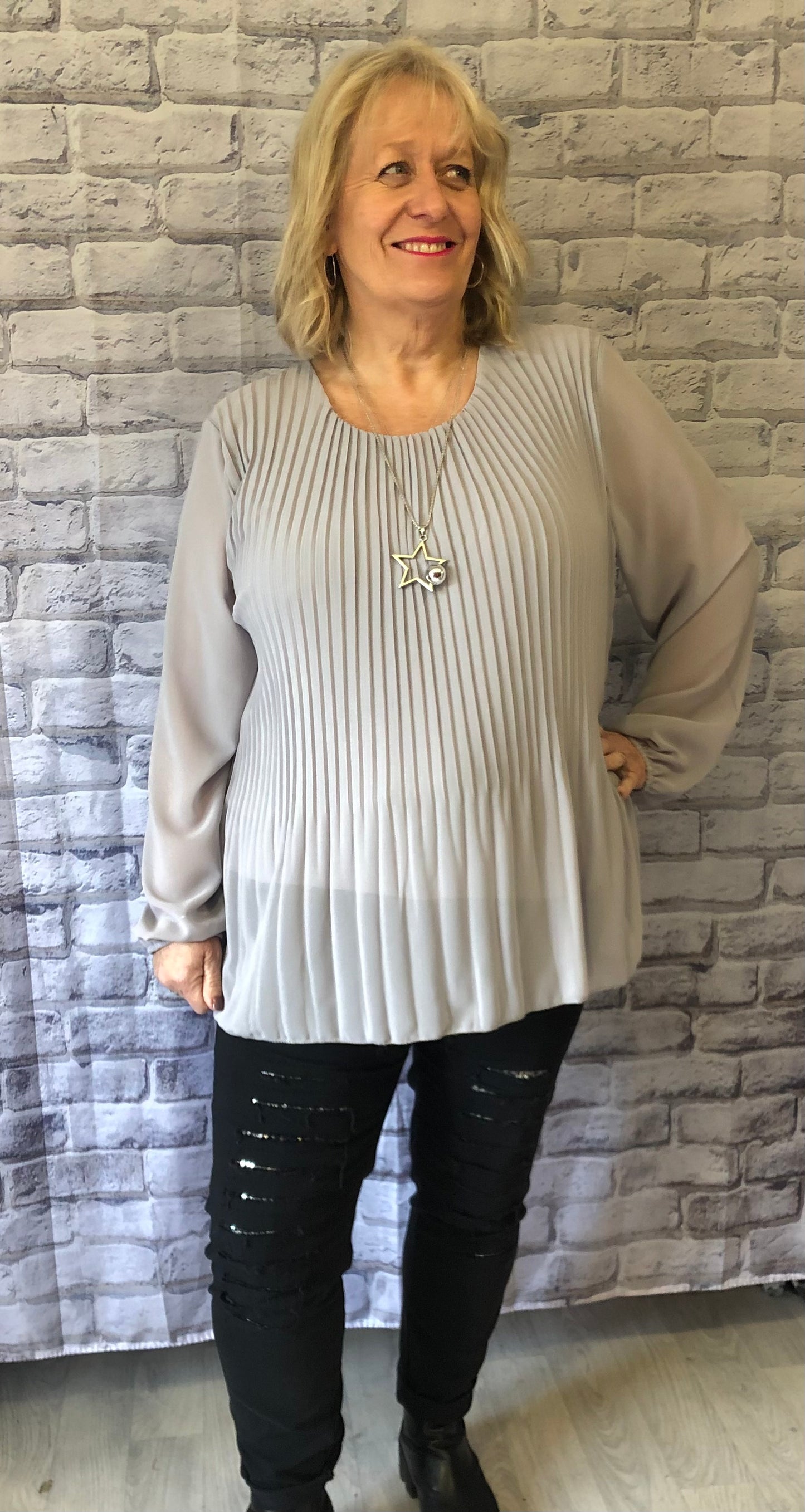 Sheer Pleated Blouse