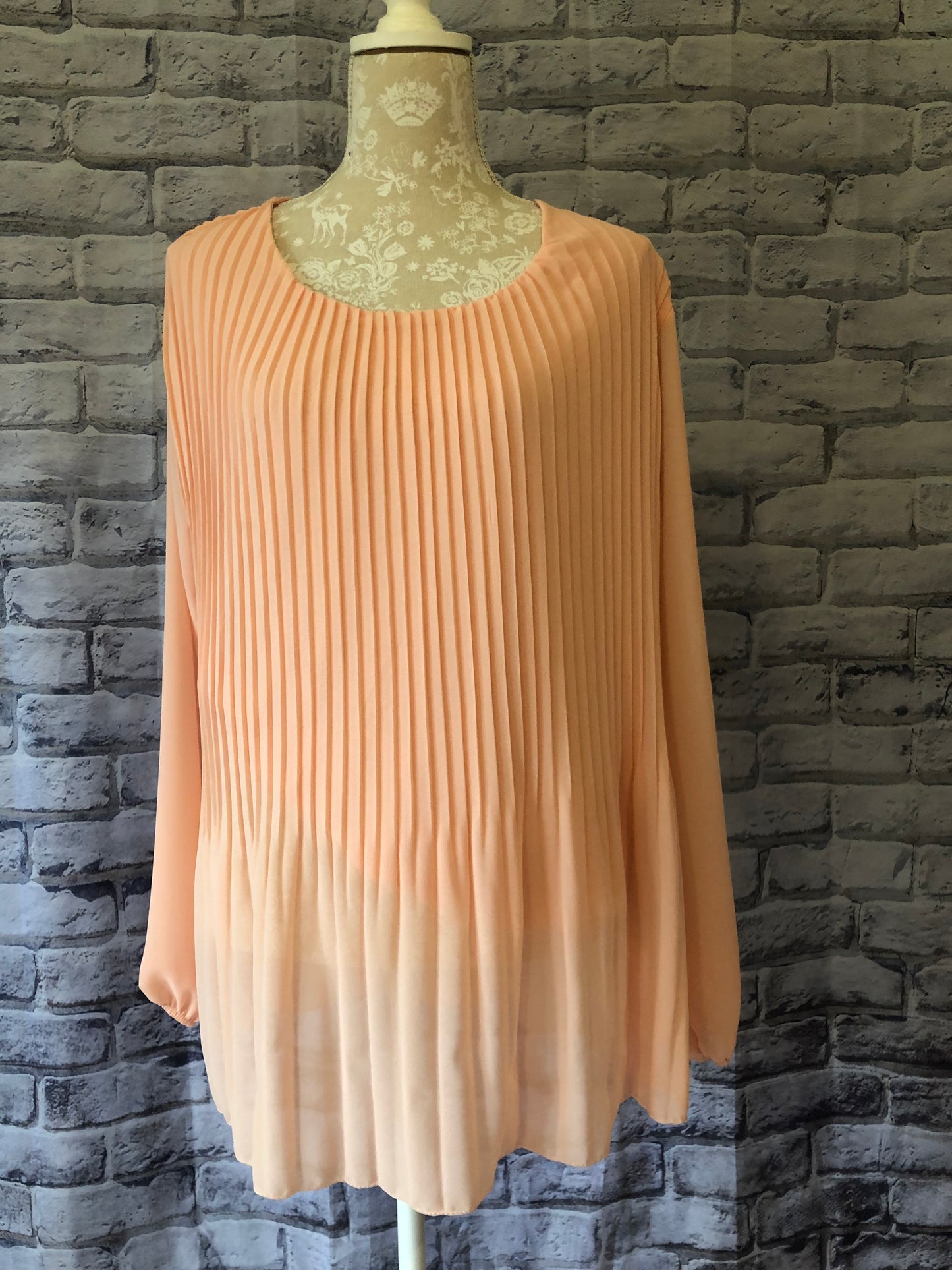 Sheer Pleated Blouse